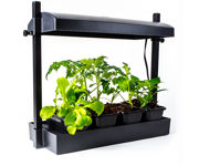 Picture of Sunblaster Micro LED Grow Light Garden, Black