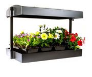 Image Thumbnail for Sunblaster LED Grow Light Garden, Black