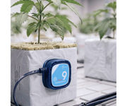 Image Thumbnail for TrolMaster Soil Moisture, EC and Temp 3-in-1 Substrate Sensor Set